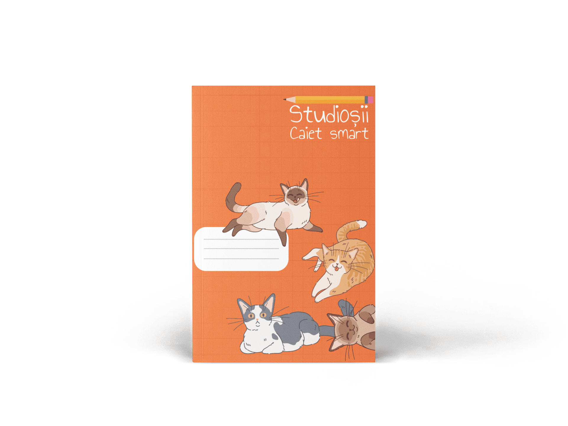 Caiet Smart Matematică - Pisici