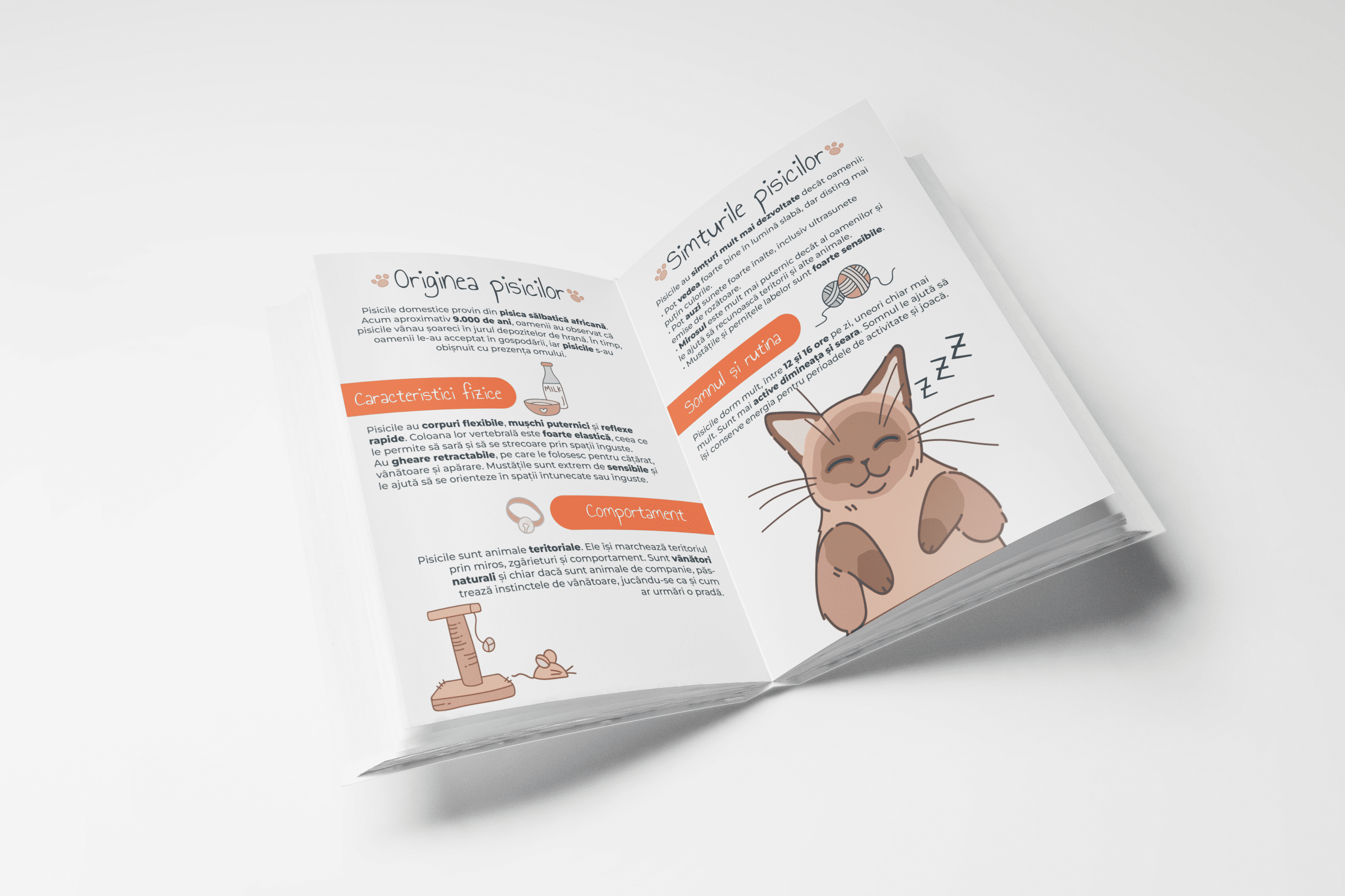 Caiet Smart Matematică - Pisici