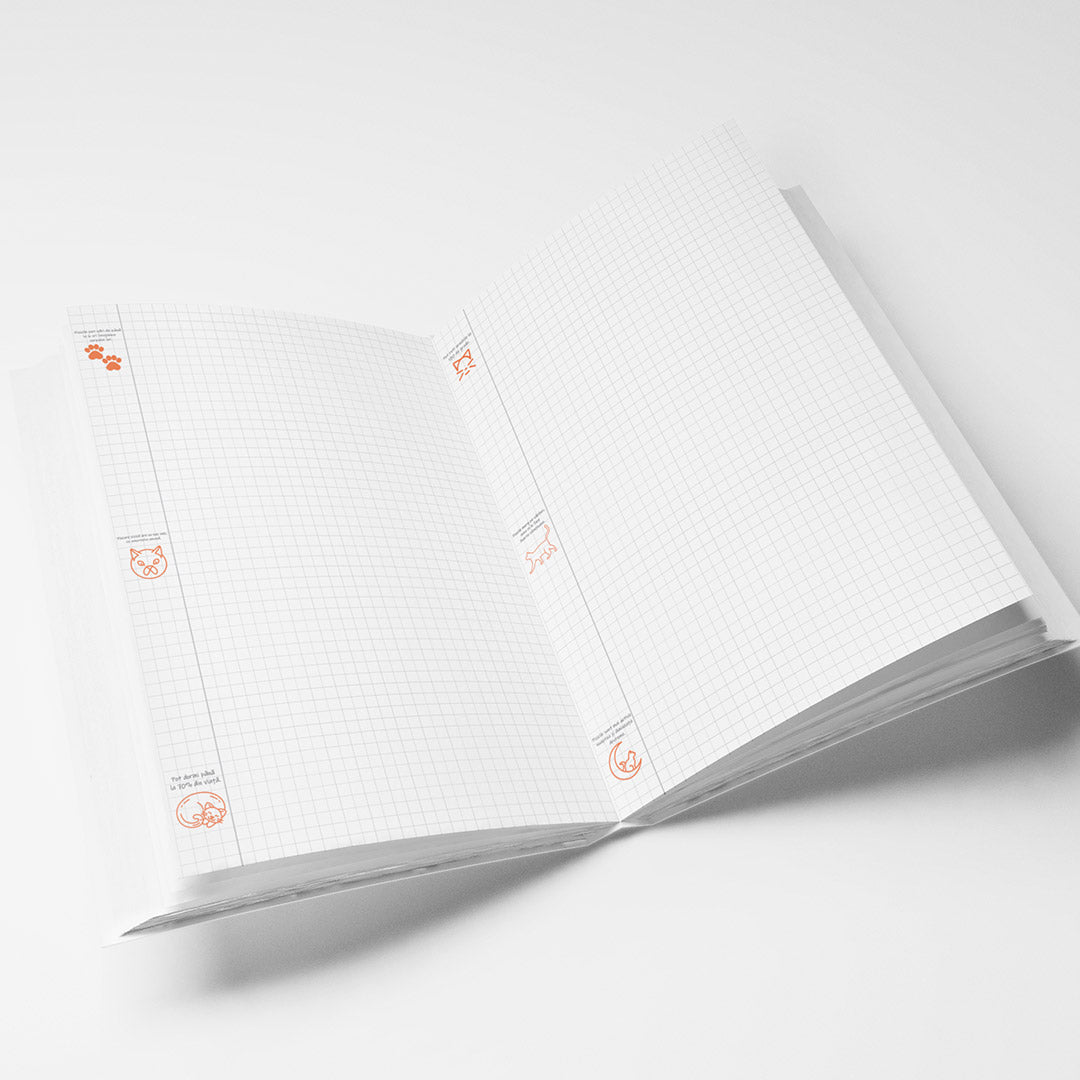 🐾 Caiet SMART tip Matematică – Pisici