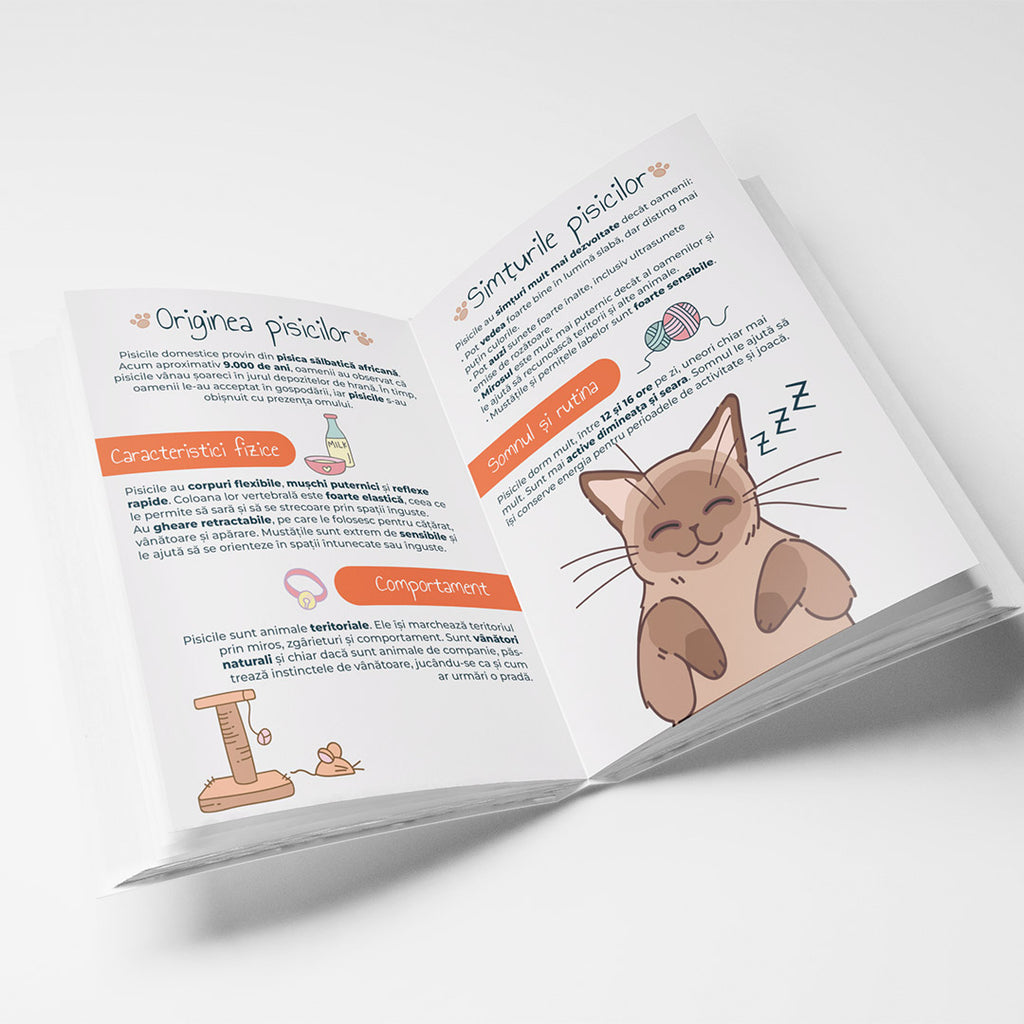 🐾 Caiet SMART tip Română – Pisici